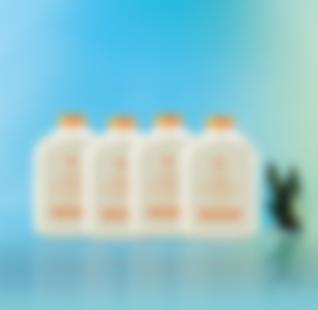 Квартет Персик